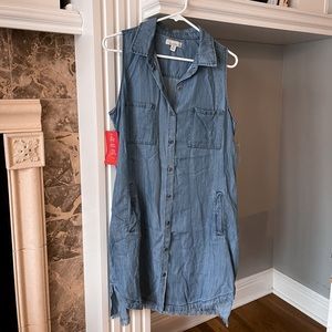 Evereve | Allison Joy | Chambray sleeveless dress | M